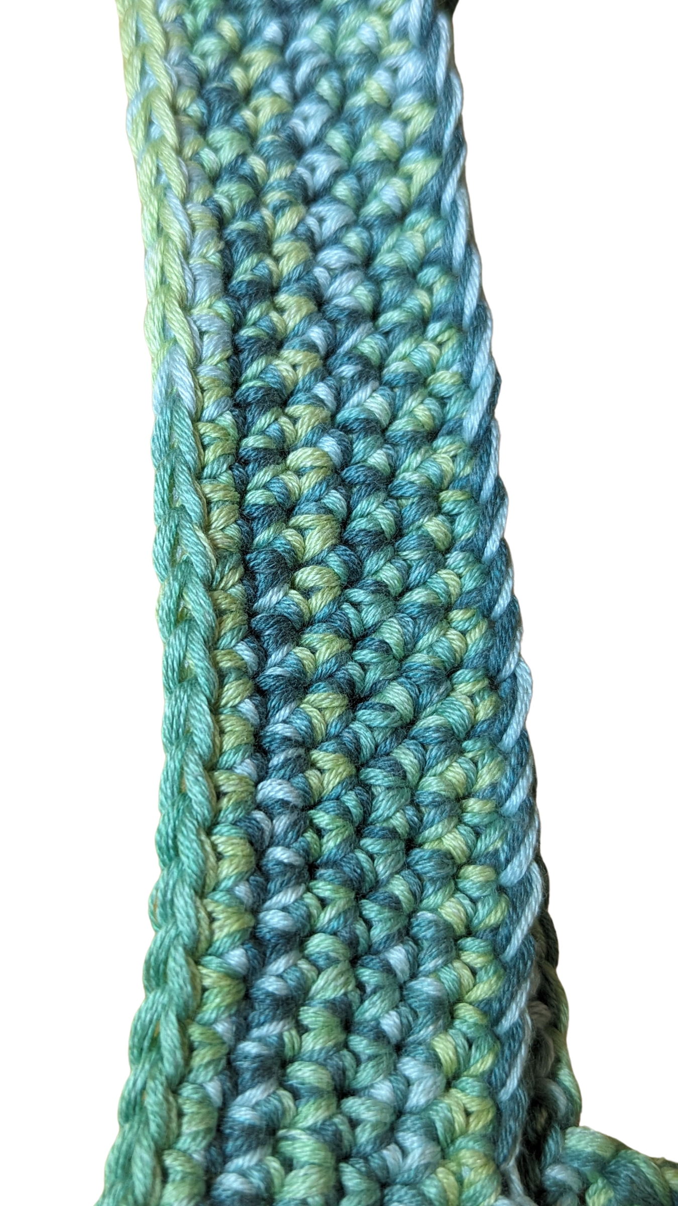 Crochet Mesh Market Bag - Chameleon